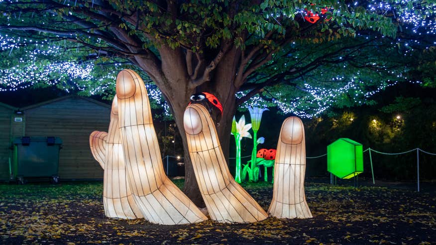 A light installation at the Wild Lights show in Dublin Zoo