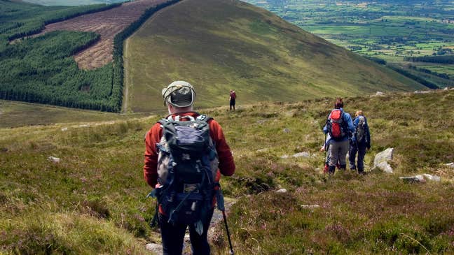 Carlow Autumn Walking Festival