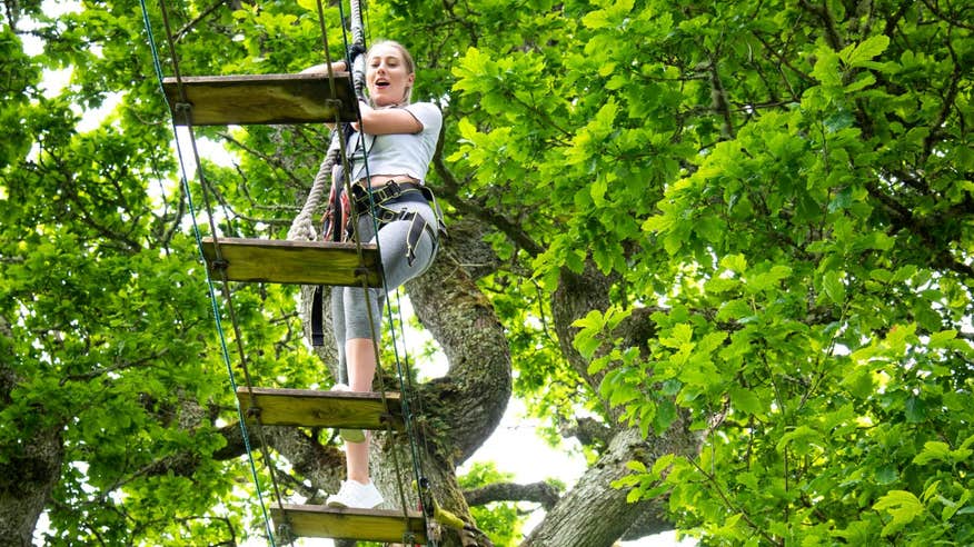 Young girl climbing a wooden bridge in Lough Key, Roscommon