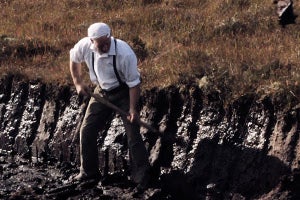 Ireland West Bog Experience
