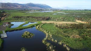 Tralee Bay Wetlands Centre