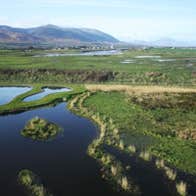Tralee Bay Wetlands Centre