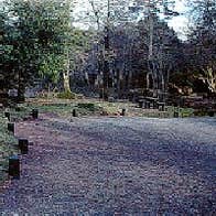 Glengarra Wood