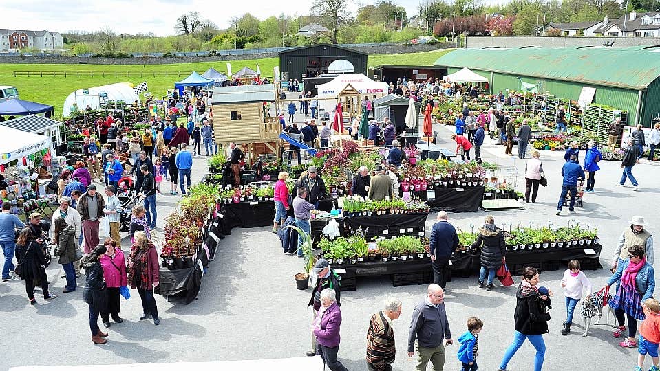Over 70 stalls join us annually from all over Ireland