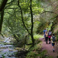 Hikers walking in Ballyhoura