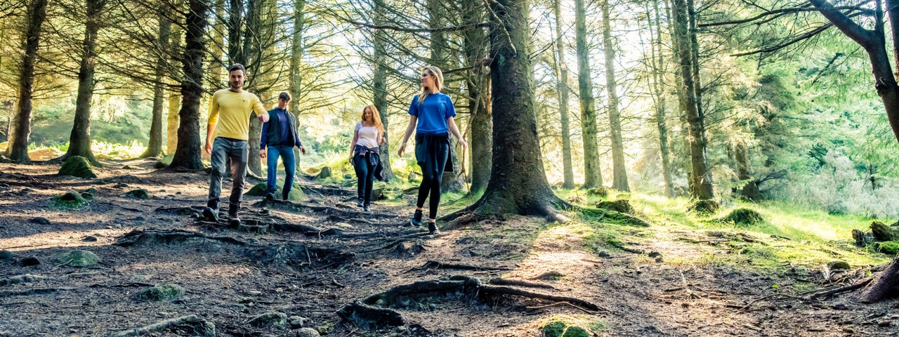 Hikers in the Dublin Mountains on a sunny day