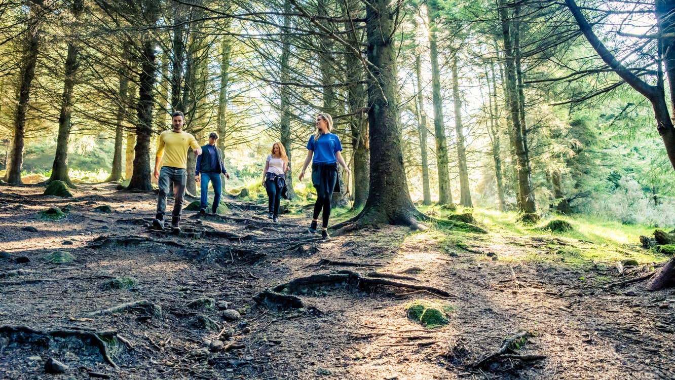 Hikers in the Dublin Mountains on a sunny day