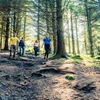 Hikers in the Dublin Mountains on a sunny day