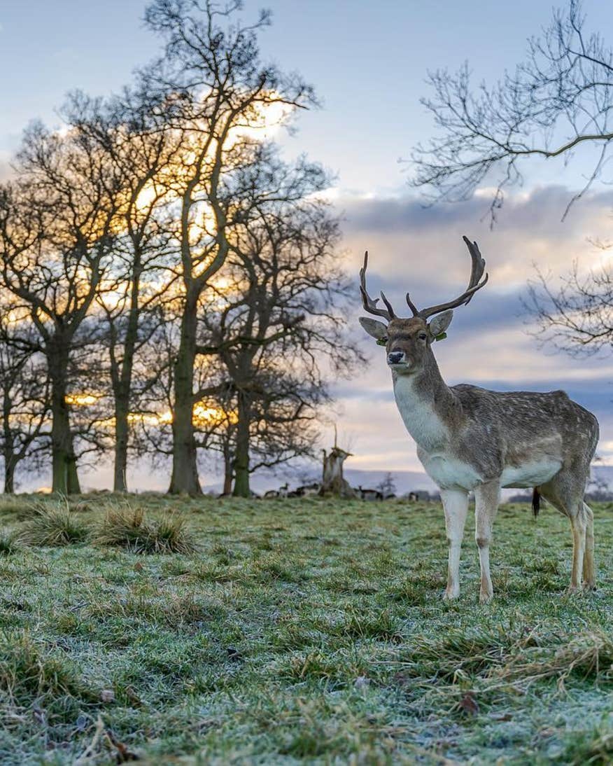 Phoenix Park, Dublin