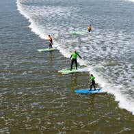 Four people wearing wetsuits surfing on blue and green surf boards