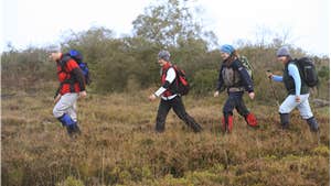 Adults walking through bogland