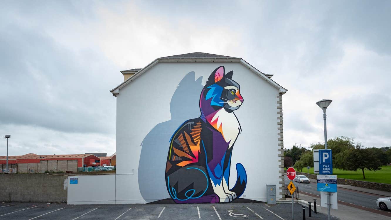 Waterford Walls 2020 - Dan Leo. Photographer - Karl Kachmarksy. End of a building painted with a giant, colourful, seated cat with a shadow, against white background