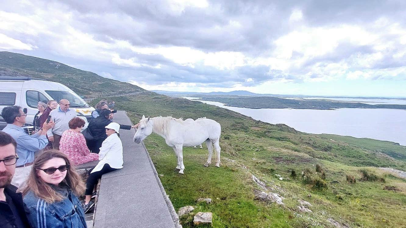 People petting a white horse while on a tour with Wild About Ireland Tours