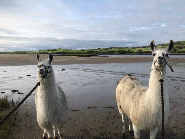 Campview Farm, Ballyshannon, Donegal