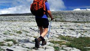 Tailor - Made Tours Ltd.