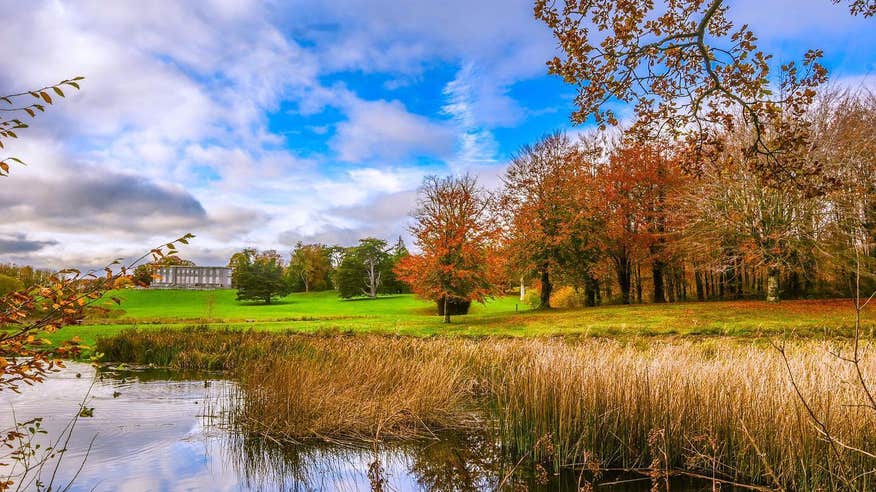 Experience the Curragh Chase Glenisca Trail in Co Limerick.