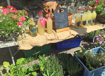 Skerries Mills Farmers Market display of apple juice products and potted plants to buy