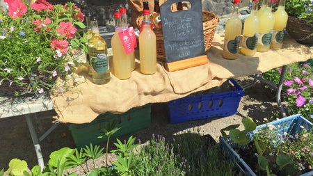 Skerries Mills Farmers Market display of apple juice products and potted plants to buy