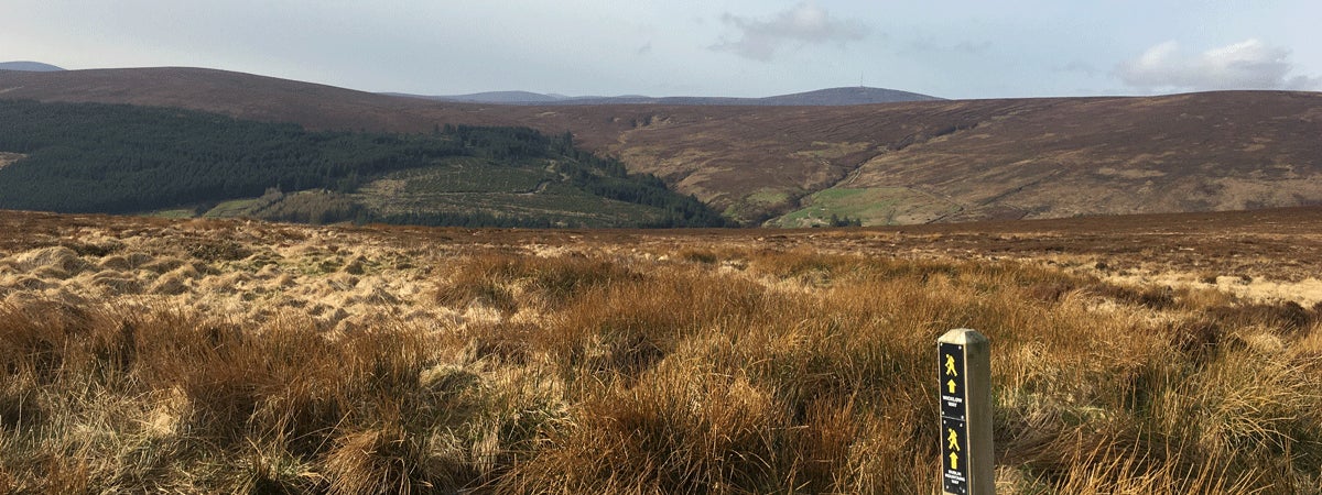 Views of hills on a walking tour with Run Walk Bike Ireland