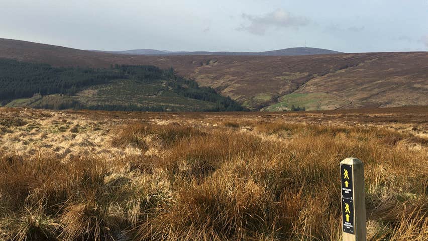 Views of hills on a walking tour with Run Walk Bike Ireland