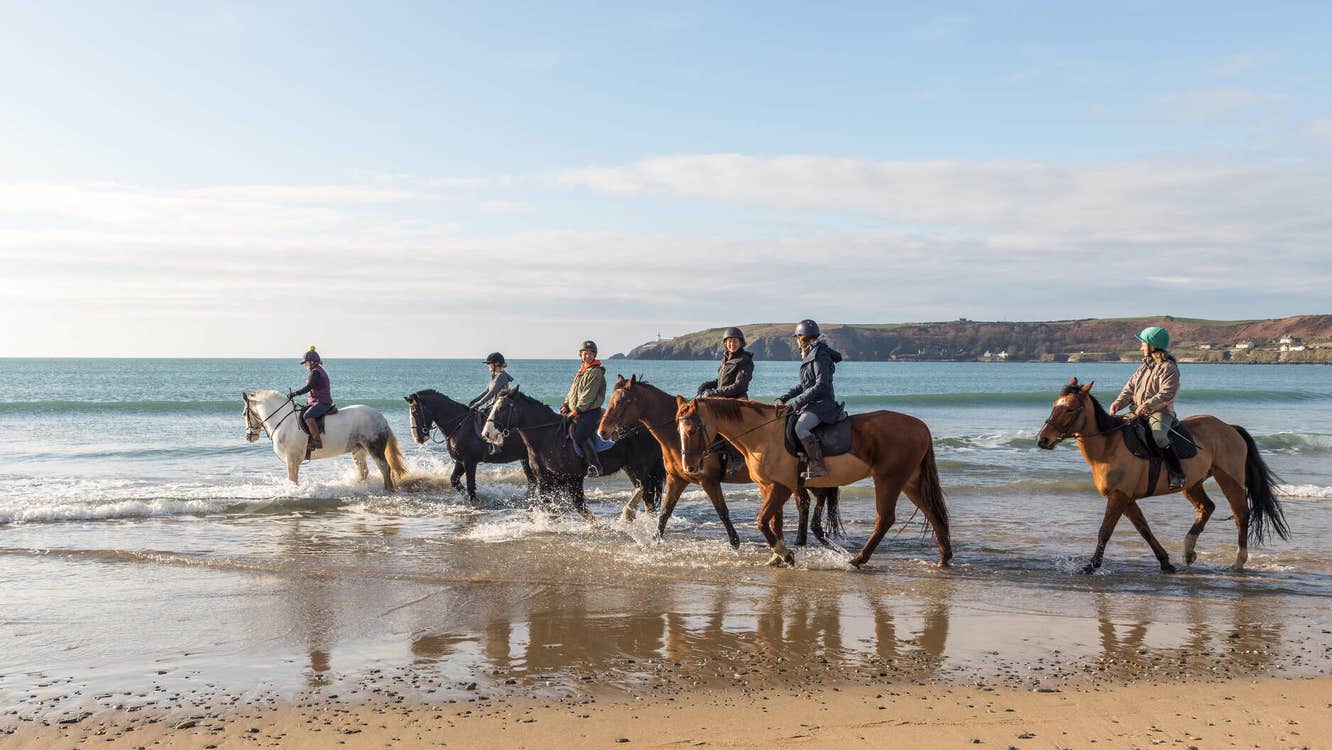 Horses and riders in the water under a blue sky with sand to the forefront