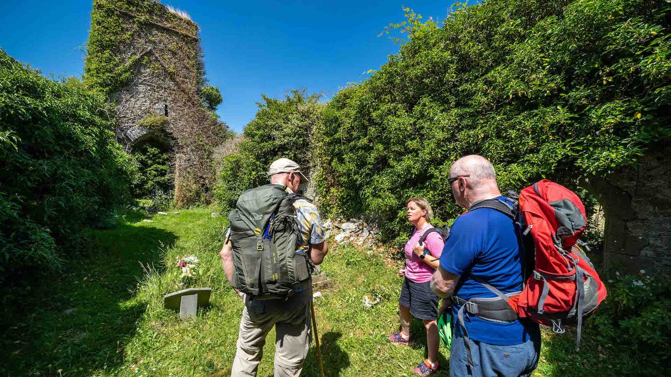 On a sunny day, 3 walkers with rucksacks are standing in the ruins of a building, overgrown with ivy.