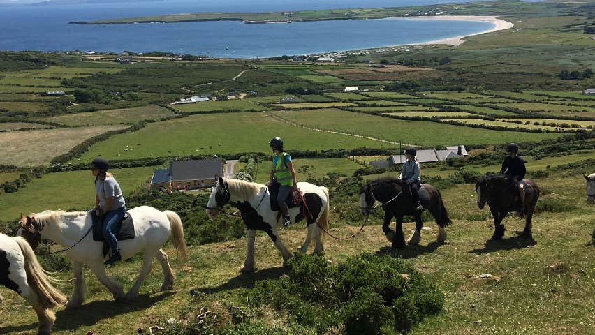 Horse Trekking group along fields overlooking the sea