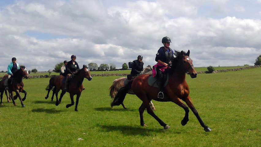 Horses galloping through a field out on a trek