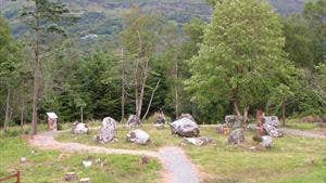 View of a stone circle in Bonane Heritage Park County Kerry