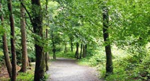 Rathwood Forest Walks
