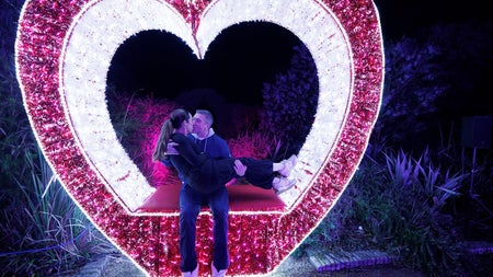 Wonderlights at Marlay Park