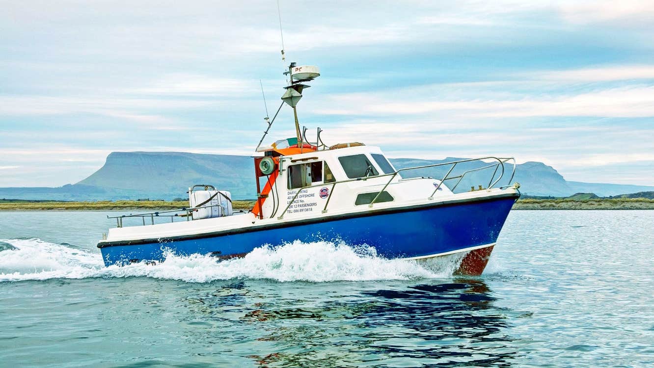 A tour boat speeding through a bay with a mountain in the background