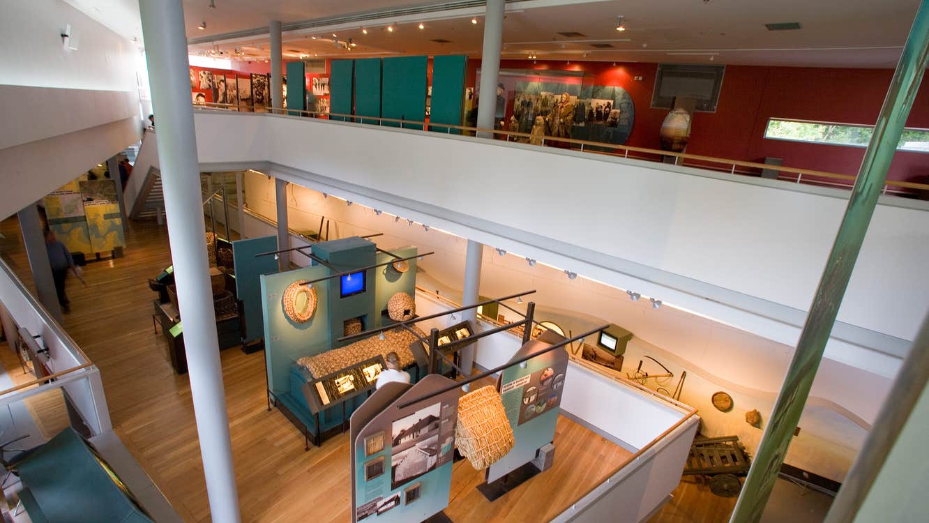 Visual displays on show inside the National Museum of Ireland - Country Life