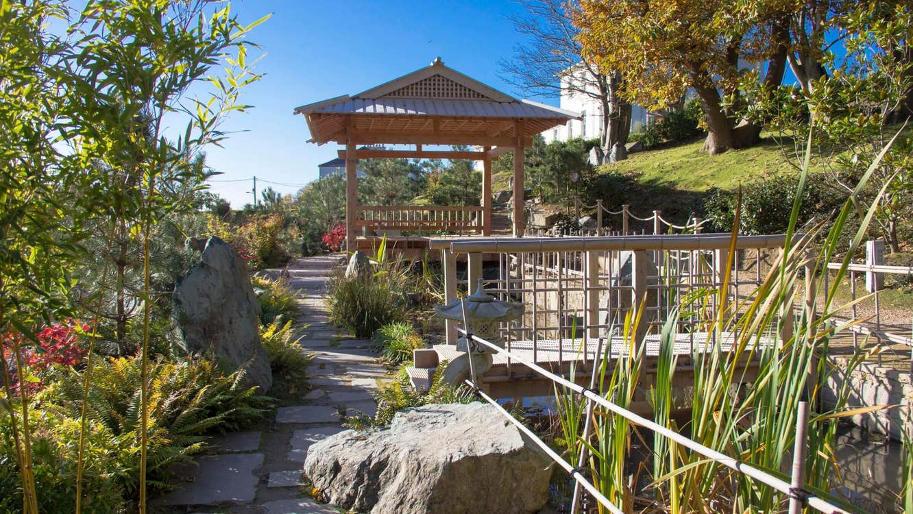 Image of the Japanese Gardens in County Waterford