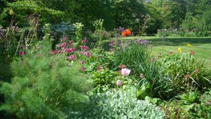 Image of a lawn with trees in background and lots of colourful flowers and shrubs