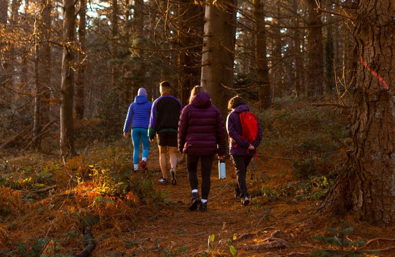 Group of people walking through a forest.