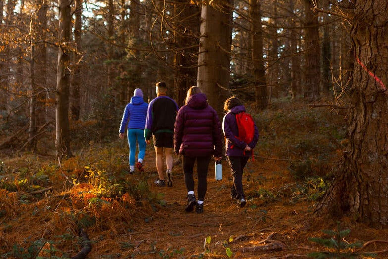 Group of people walking through a forest.