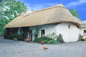 Rathbaun Farm, Ardrahan, Galway