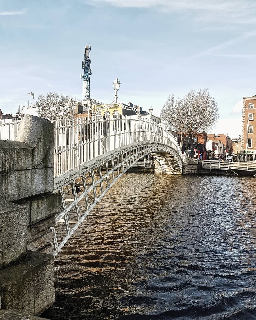 Don't miss the chance to take a photo of the Ha'penny Bridge, Dublin's most photographed landmarks.  