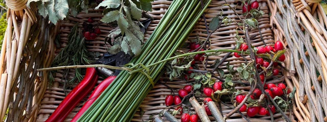Herbs, Hexes and Halloween