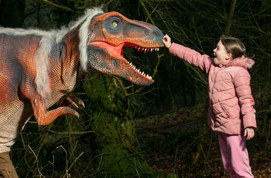 A young girl dressed in pink is reaching out her arm to touch the nose of a dinosaur with it's mouth open, side views.