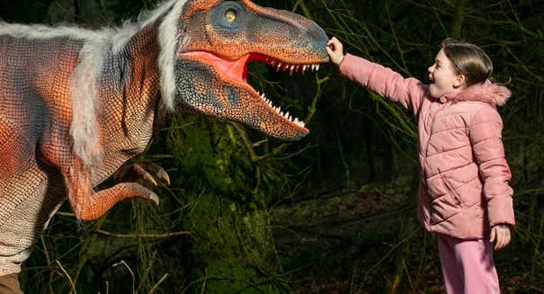 A young girl dressed in pink is reaching out her arm to touch the nose of a dinosaur with it's mouth open, side views.