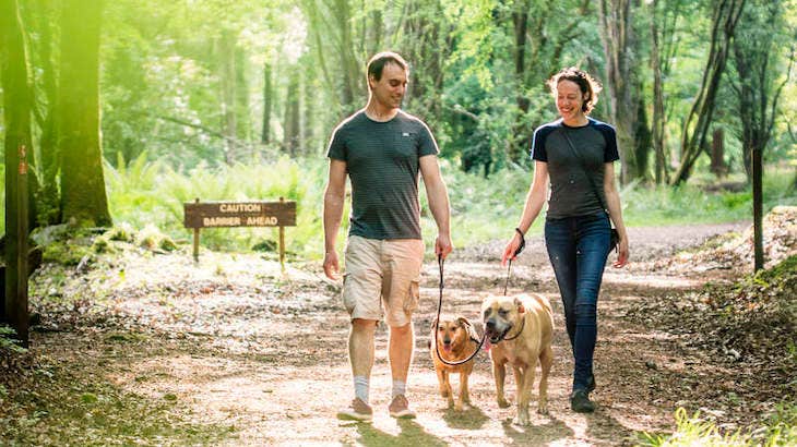 Take a stroll together at Portumna Forest Park.