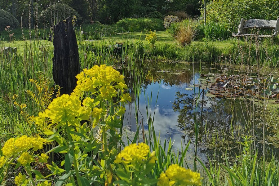 Cluain na dTor Seaside Gardens & Nursery