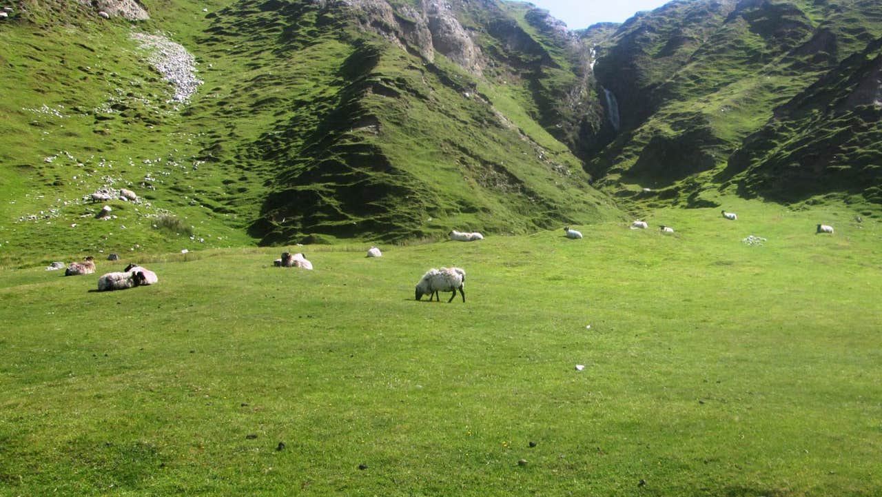 Green rocky hill with sheep grazing in the field in front