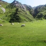 Green rocky hill with sheep grazing in the field in front