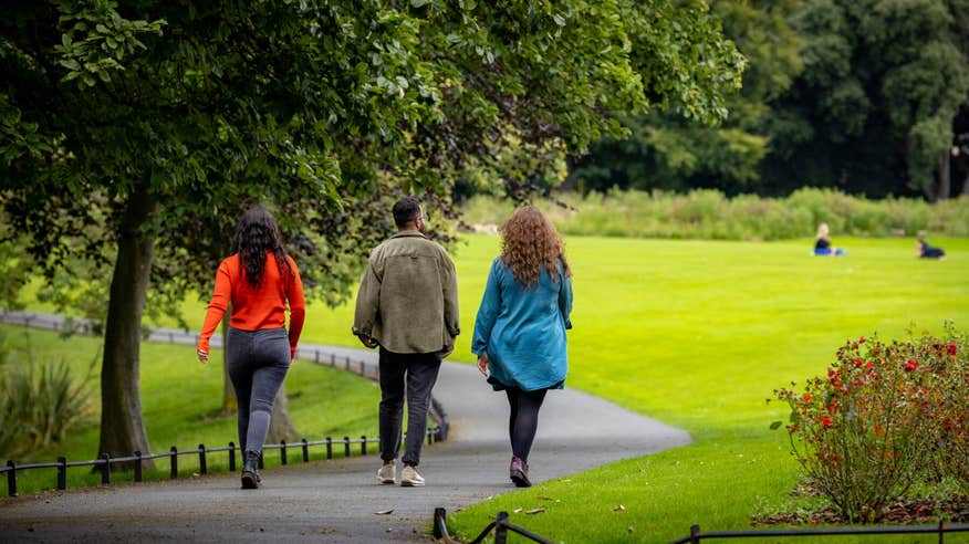 Walking in the Phoenix Park, Dublin City