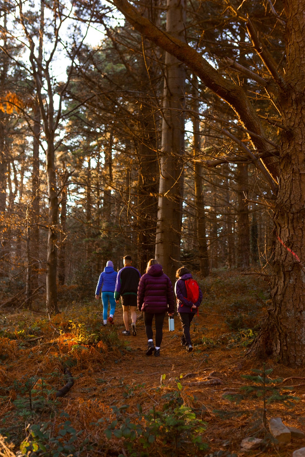 Four people hiking through the Dublin Mountains in autumn.