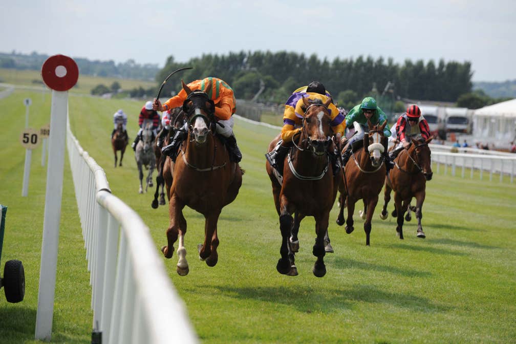 Images of horses racing in The Curragh in County Kidare