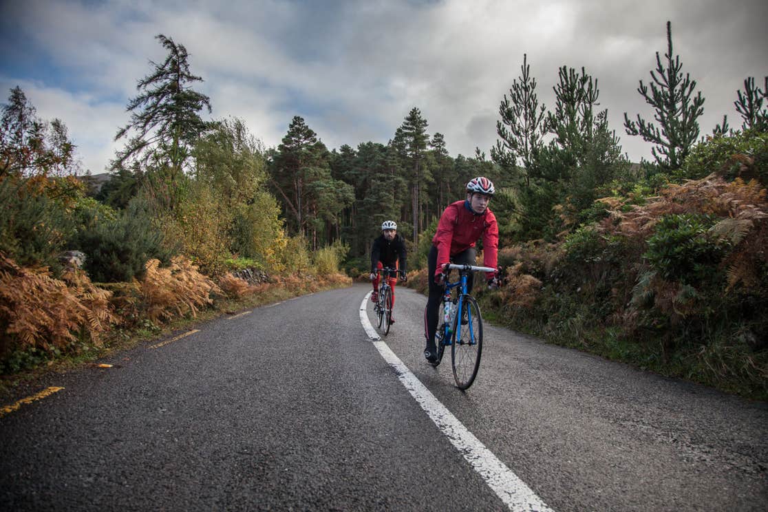Two cyclists in a forest on a tarmac road.